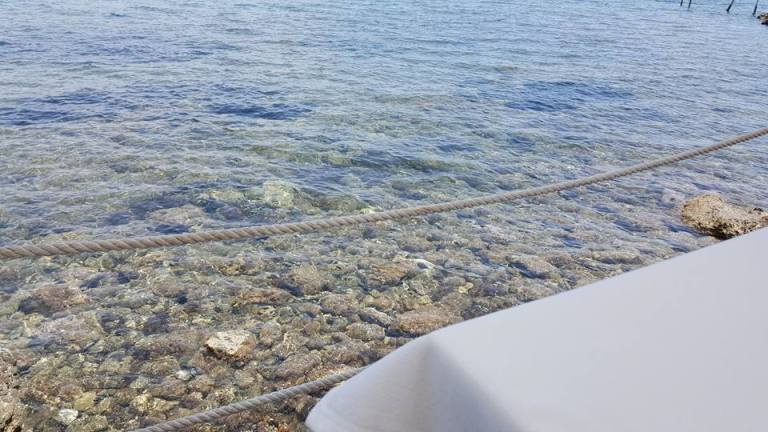 Il mare trasparente visto da un tavolo di Vini..le